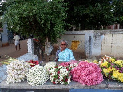 Fotografie z alba Indie, Tiruvannamalai, Sri Ramanasramam 2012