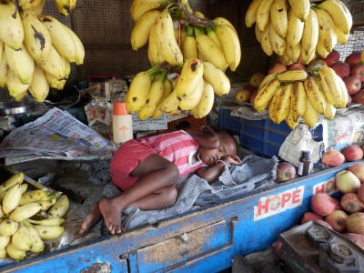 Fotografie z alba Indie, Tiruvannamalai, Sri Ramanasramam 2012