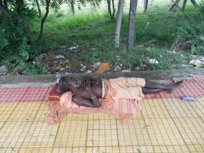 Fotografie z alba Indie, Tiruvannamalai, Sri Ramanasramam 2012