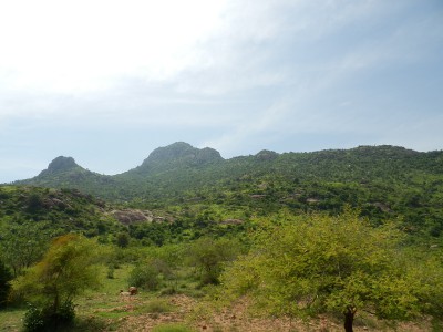 Fotografie z alba Indie, Tiruvannamalai, Sri Ramanasramam 2012