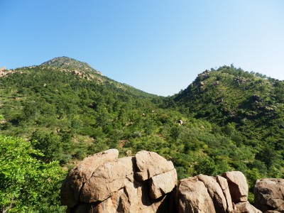 Fotografie z alba Indie, Tiruvannamalai, Sri Ramanasramam 2012