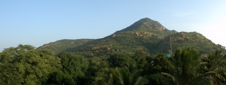 Fotografie z alba Indie, Tiruvannamalai, Sri Ramanasramam 2012