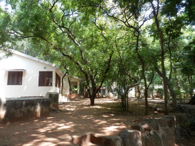 Fotografie z alba Indie, Tiruvannamalai, Sri Ramanasramam 2012