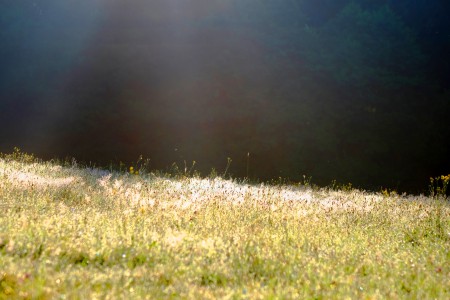 Fotografie z alba Horní Bradlo 2018