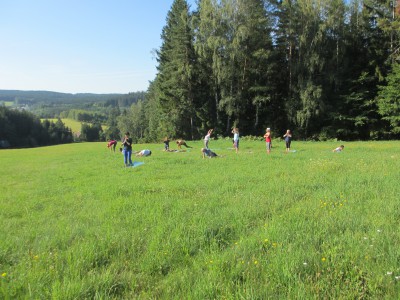 Fotografie z alba Horní Bradlo 2019