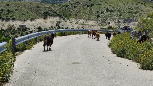 Fotografie z alba Řecko, ostrov Lefkada 2023