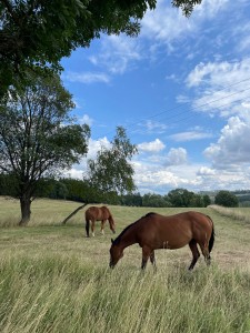 Fotografie z alba Horní Bradlo 2023