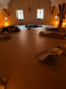 Fotografie z alba Pecka 2025